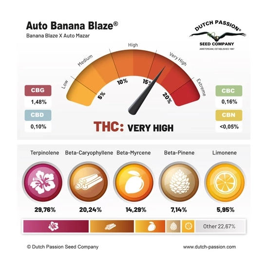 Auto Banana Blaze®